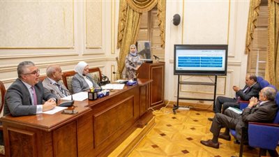 تحالفات شركات عالمية في قطاع مشروعات الوقود الأخضر باقتصادية قناة السويس