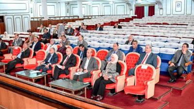 تأهيل ذوي الإعاقات المتعددة وتنظيم عدد من الاحتفالات ببني سويف
