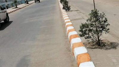 حملة لتجميل ودهان الأرصفة بشوارع دشنا