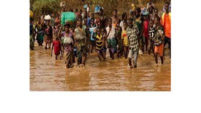 مقتل 600 شخص في فيضانات مالاوي.. والكلاب تشارك في انتشال الجثامين