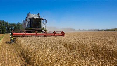 جوتيريش ولوكاشينكو يُناقشان تصدير الحبوب الأوكرانية عبر بيلاروسيا