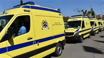 قطار ينهي حياة مواطن بقنا
