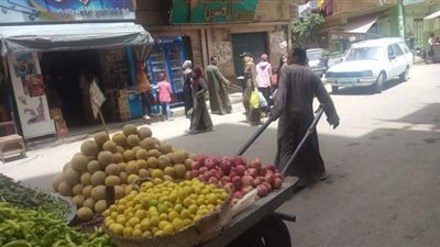 انخفاض ملحوظ في أسعار بعض الخضروات والفاكهة بأسواق سوهاج
