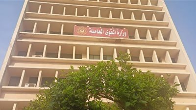 القوى العاملة تعيد مستحقات عمال مصريين لورثتهم في إيطاليا