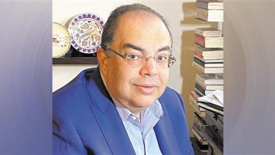 محيى الدين يكشف أهمية توسيع نطاق الشراكات بين القطاعين العام والخاص