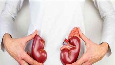 إنزيم يفتح باب الأمل لعلاج أمراض الكلى| احذر نقصانه