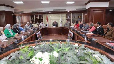 محافظ بني سويف يناقش دعم التعاون بين في المبادرة الوطنية للمشروعات الخضراء