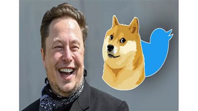 لماذا غير Elon Musk شعار Twitter إلى Dogecoin؟