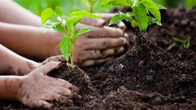 محافظ أسيوط: 