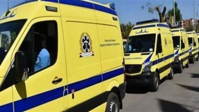 قالب طوب ينهي حياة طالبة في قليوب