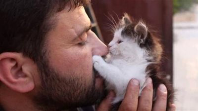 قط يصيب رجل بالعمى والسر في الحمى (تفاصيل)