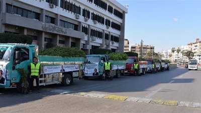 زراعة أشجار خشبية ومثمرة بحدائق الإسماعيلية