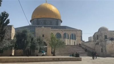 صور مباشرة من باحات المسجد الأقصى بعد اقتحامه | فيديو