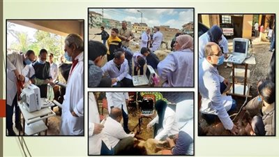 المسح التناسلي الشامل والتلقيح الاصطناعي لـ 6370 رأس ماشية بالشرقية