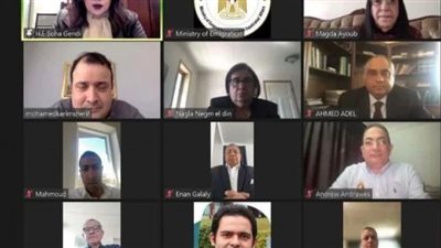 بيت المصريين بالسويد يشكر الحكومة المصرية للاهتمام بمطالبهم ومشاكلهم.. صور