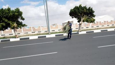 متابعة أعمال النظافة والإنارة العامة وصيانة المسطحات الخضراء بحي ثالث الإسماعيلية
