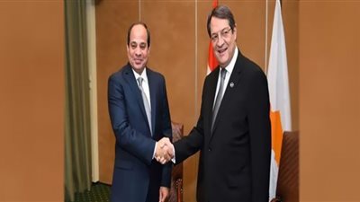 الرئيس السيسي يؤكد ثبات موقف مصر تجاه القضية القبرصية