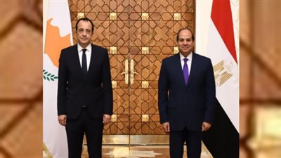 مصر وقبرص تؤكدان أهمية خروج القوات الأجنبية والمرتزقة من ليبيا