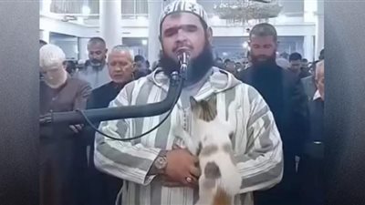 قطة غيرت مفهوم الغرب الخاطئ حول الإسلام