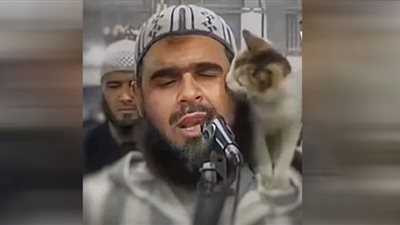 وليد مهساس يبعث برسالة سلام للعالم بقُبلة قطة (فيديو)