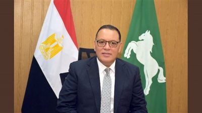 ترخيص 728 إعلانًا مخالفًا بمراكز ومدن الشرقية