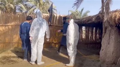 مخاوف من انتشار الحمى النزفية في العراق (شاهد)
