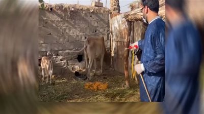 وفاة 3 أشخاص بـ