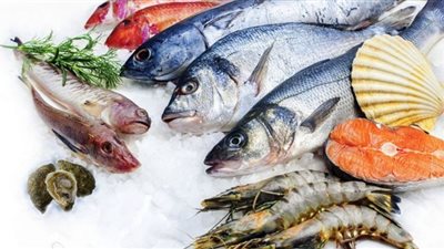 بكام البلطي النهاردة.. أسعار الأسماك اليوم السبت