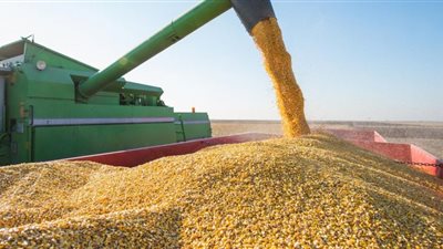 آخر موعد لتسجيل مصانع أعلاف الدواجن في بورصة السلع