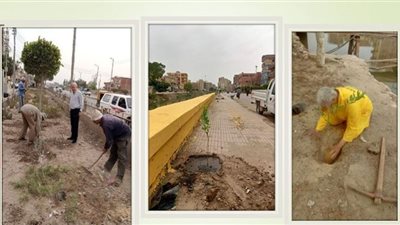 مراكز الشرقية تتسابق لتنفيذ المبادرة الرئاسية لزراعة 100 مليون شجرة