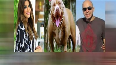 موعد جنازة مدير البنك المتوفى ضحية عقر كلب المذيعة أميرة شنب