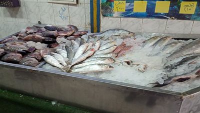 أسعار الأسماك صباح اليوم الاثنين