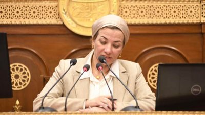دمج البعد البيئي في قطاعات التنمية حجر الأساس لتحقيق الاقتصاد الأخضر الدوار