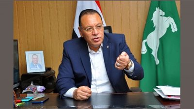 إدارة بناء وتنمية القرية بالشرقية تنفذ 96 مشروعا