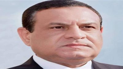 صندوق التنمية المحلية يمول 464 مشروعًا صغيرًا ومتناهي الصغر