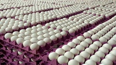 أسعار البيض اليوم الإثنين في الأسواق