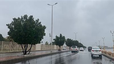 طقس السعودية.. أمطار رعدية ورياح مثيرة للأتربة