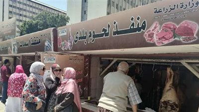 أسعار اللحوم بمنافذ الزراعة