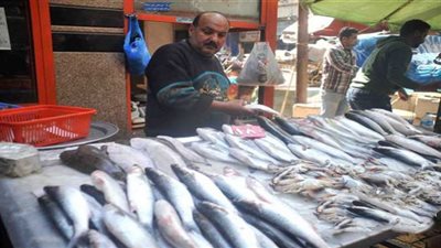 أسعار الأسماك والمأكولات البحرية اليوم الثلاثاء