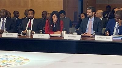 مصر تحث بنوك التنمية على المساهمة في تيسير التمويل للدول النامية