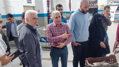 الإسماعيلية تشن حملة على الأسواق ومحال الأسماك