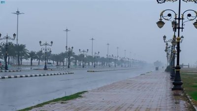 طقس السعودية.. أمطار رعدية ونشاط للرياح