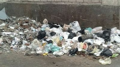 الوحدات المحلية بالإسماعيلية ترفع 8001 طن مخلفات قمامة