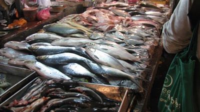 القاروص بـ 160 جنيهًا.. أسعار الأسماك اليوم السبت في الأسواق المصرية