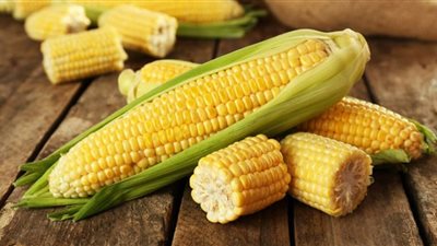 بدء طرح الذرة الصفراء رسميًا على منصة البورصة المصرية للسلع