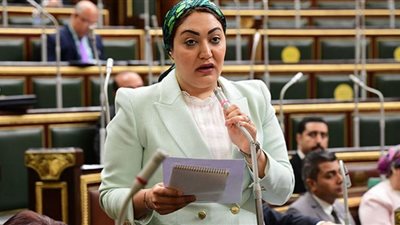 النائبة أسماء الجمال تتقدم بطلب إحاطة لسرعة تبطين ترعة الحاجر بالصف