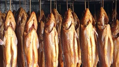 ضبط طن رنجة مجهول المصدر بالإسماعيلية