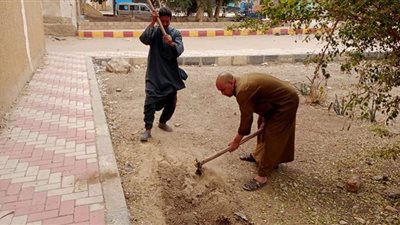 تنفيذ أعمال تشجير وزراعة شتلات بمركز الغنايم في أسيوط