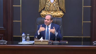 السيسي يكشف سبب وجود القوات المصرية بالسودان.. تأكدنا من سلامتهم (فيديو)