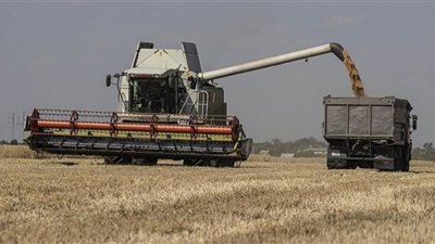 الصين تسعى لتعزيز وارداتها من الذرة الأوكرانية